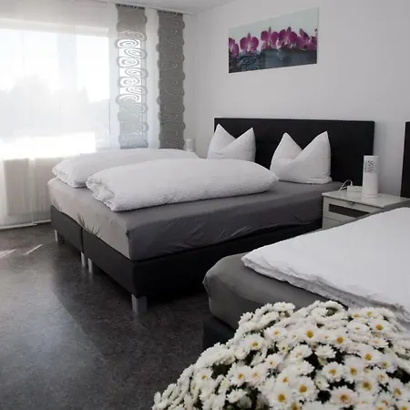 Gastehaus Zur Offenen Tur 3* Rheinhausen